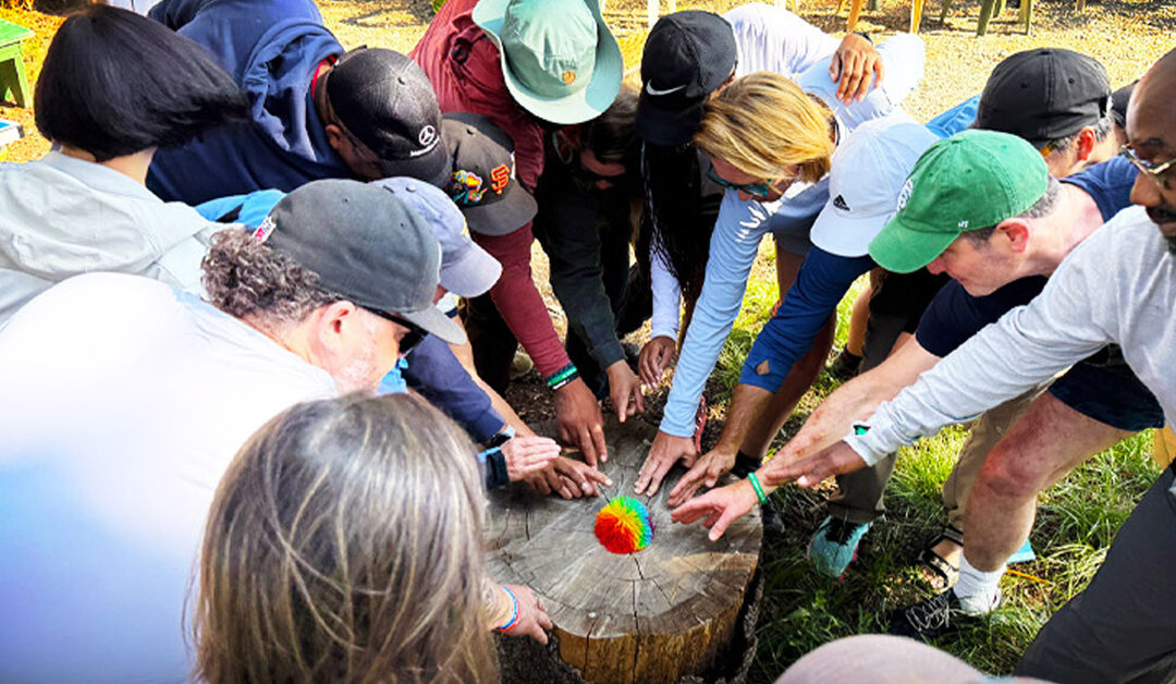 The biggest Wilderness Week change in 25 years?