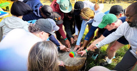 The biggest Wilderness Week change in 25 years?